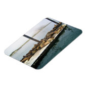 Harbor Seales、Morro Bay、カリフォルニア マグネット (左側)