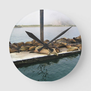 Harbor Seales、Morro Bay、カリフォルニア ラウンド壁時計