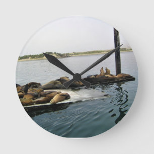 Harbor Seals, Morro Bay, California ラウンド壁時計
