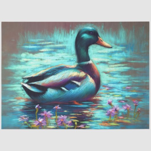 Hard Pastel Drawing Painting of a Mallard Duck 薄葉紙 (正面)
