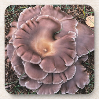 Hard plastic coaster Fungi コースター