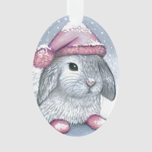 Hare 14 rabbit オーナメント (正面)