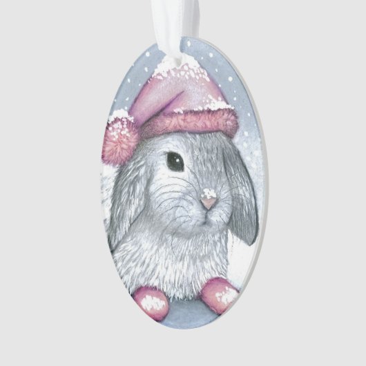 Hare 14 rabbit オーナメント (正面)