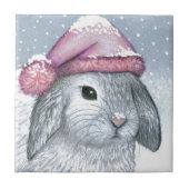 Hare 14 rabbit タイル (正面)