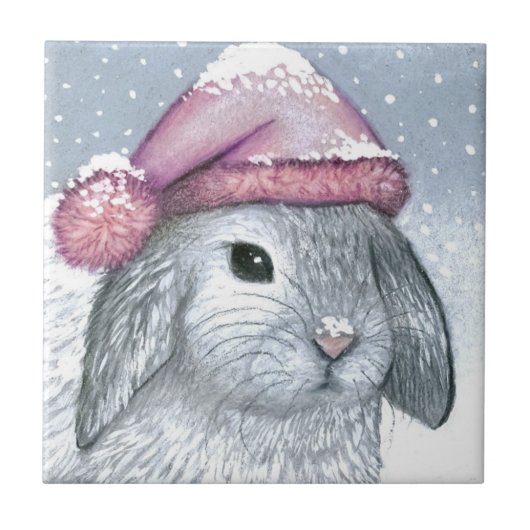 Hare 14 rabbit タイル (正面)