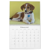 Harlanから安全な手への カレンダー (2月 2027)