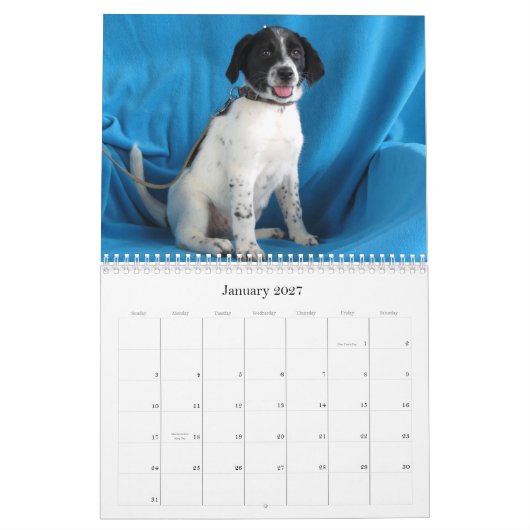 Harlanから安全な手への カレンダー (1月 2027)