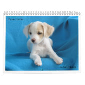 Harlanから安全な手への カレンダー (カバー)