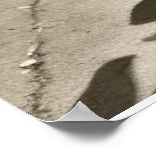 Harlem Renaissance Sophisticated Ladies  ポスター (角)