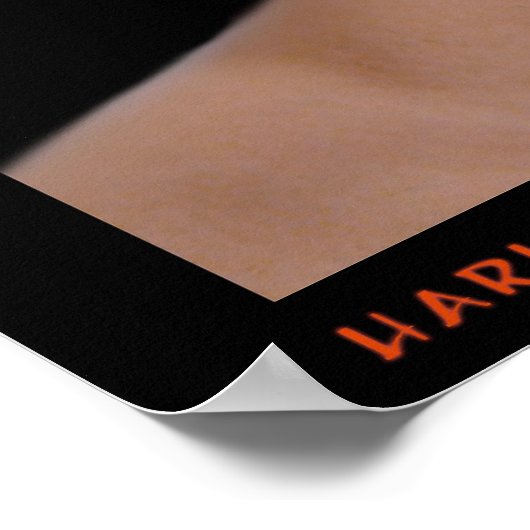 Harlequin要素 ポスター (角)