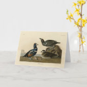 Harlequin Duck - Audubon's Birds of America カード (黄色い花)