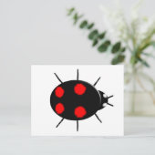 Harlequin Ladybirdはがき ポストカード (スタンド正面)