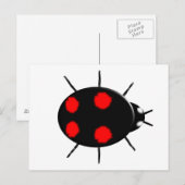 Harlequin Ladybirdはがき ポストカード (正面/裏面)