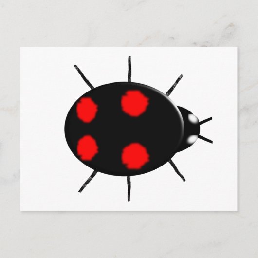Harlequin Ladybirdはがき ポストカード (正面)