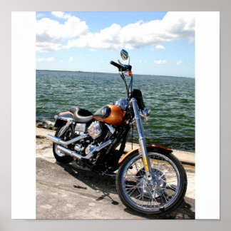 Harley Pics 040 ポスター