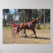 Harness racing Print ポスター (正面)