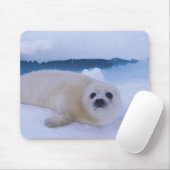 Harp Seal North America，カナダ，ケベック マウスパッド (マウス)