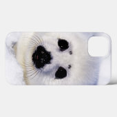 Harp seal pup ice Gulf of St. Lawrence, Case-Mate iPhoneケース (裏面 (横))