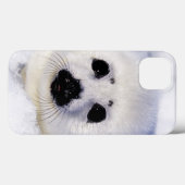 Harp seal pup ice Gulf of St. Lawrence, Case-Mate iPhoneケース (裏面 (横))