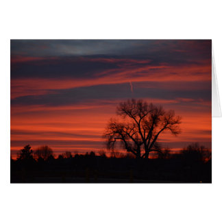 harper湖の日の出