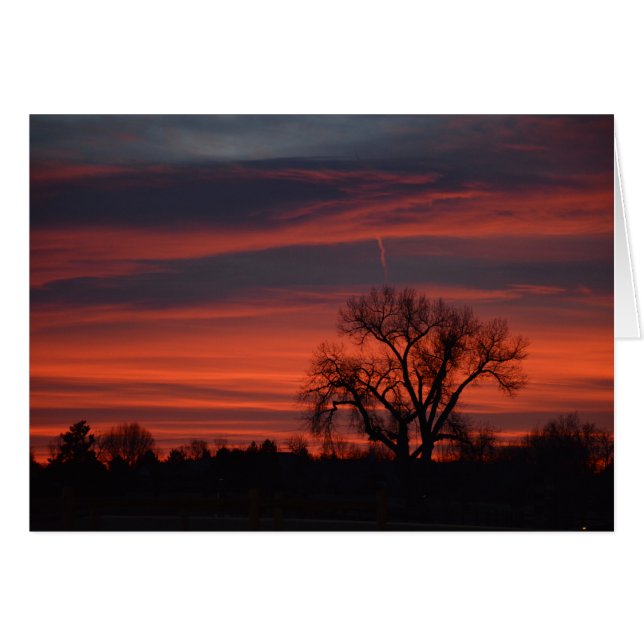 harper湖の日の出 (正面横)