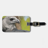 Harpy Eagle 1.JPG ラゲッジタグ (正面横)