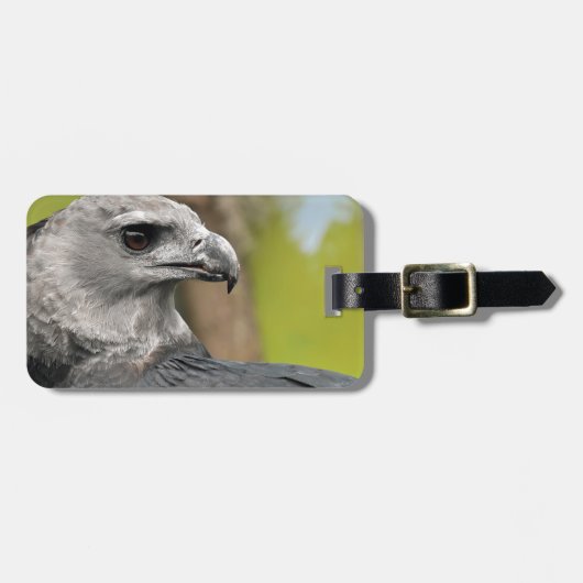 Harpy Eagle 1.JPG ラゲッジタグ (正面横)
