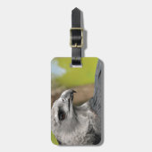 Harpy Eagle 1.JPG ラゲッジタグ (正面縦)