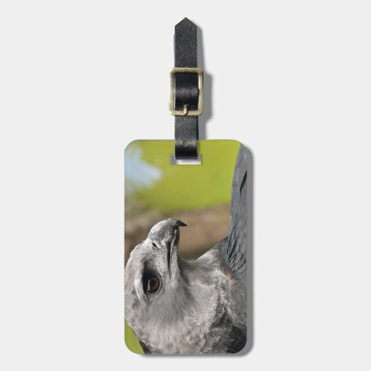 Harpy Eagle 1.JPG ラゲッジタグ (正面縦)