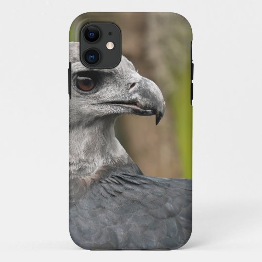Harpy Eagle 1.JPG Case-Mate iPhoneケース (裏面)
