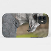 Harpy Eagle 1.JPG Case-Mate iPhoneケース (裏面(横))