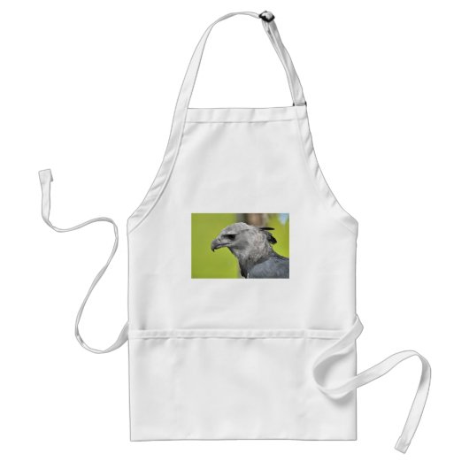 Harpy Eagle 2.JPG スタンダードエプロン (正面)