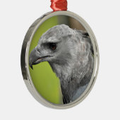 Harpy Eagle 2.JPG メタルオーナメント (右)