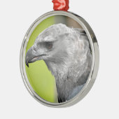 Harpy Eagle 2.JPG メタルオーナメント (左)