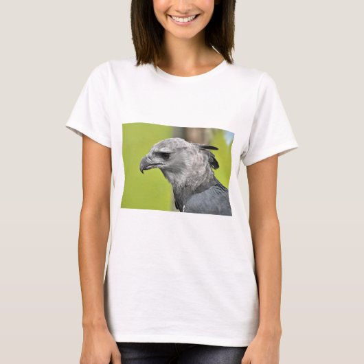 Harpy Eagle 2.JPG Tシャツ (正面)
