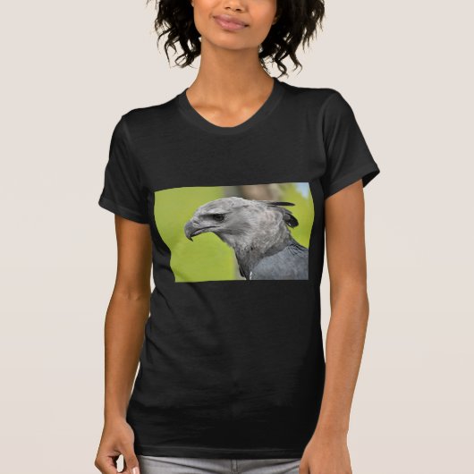 Harpy Eagle 2.JPG Tシャツ (正面)