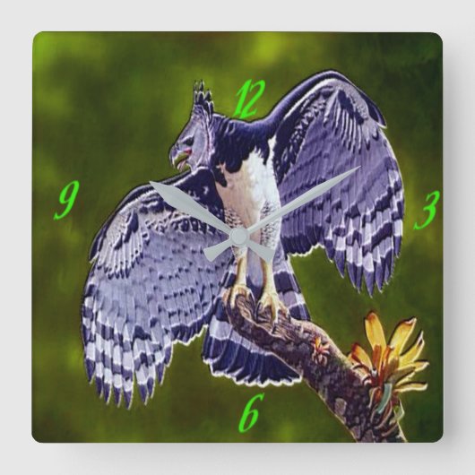 "Harpy Eagle" Acrylic Wall Clock スクエア壁時計 (正面)