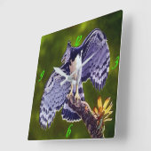 "Harpy Eagle" Acrylic Wall Clock スクエア壁時計 (傾斜)