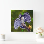 "Harpy Eagle" Acrylic Wall Clock スクエア壁時計 (ホーム)