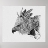 Harpy Eagle Drawing ポスター (正面)