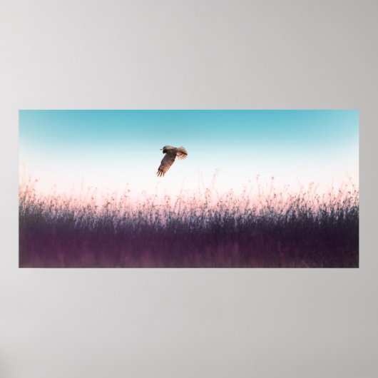 Harrier Hawk ポスター (正面)