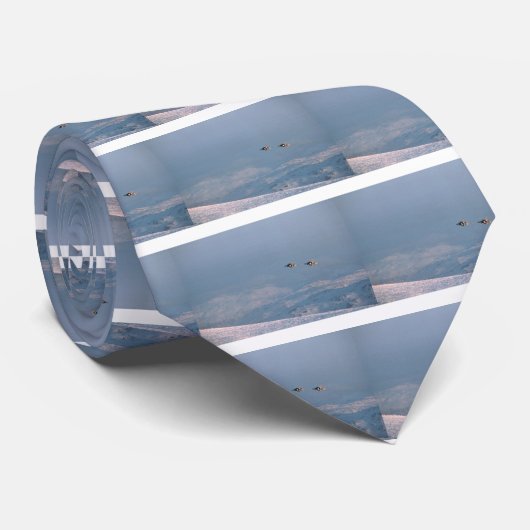 Harrier Jump Jet ネクタイ (ロール)