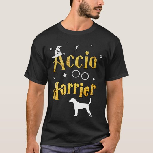 Harrier Shirt Accio Harrier Tシャツ (正面)