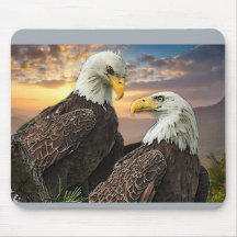 HarrietとM15を見てあなたの目を見る