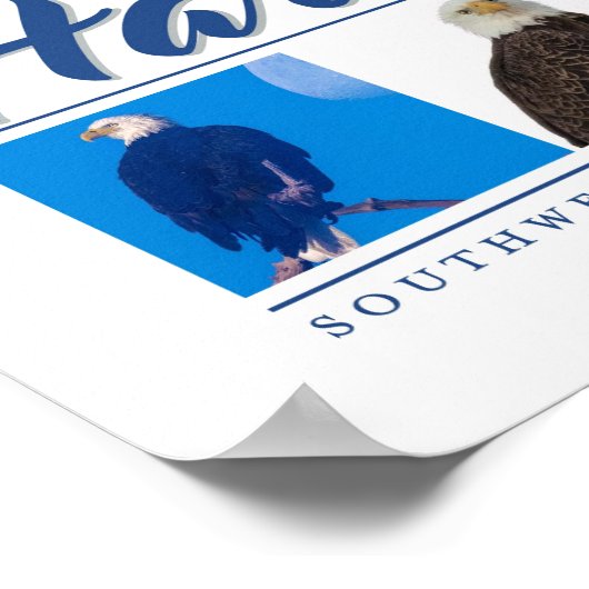 Harriet SWFL Eagle Cam Wall Posterを思い出す ポスター (角)