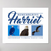 Harriet SWFL Eagle Cam Wall Posterを思い出す ポスター (正面)