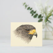Harris Hawk – ミックスミディアムポストカード ポストカード (スタンド正面)