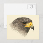 Harris Hawk – ミックスミディアムポストカード ポストカード (正面/裏面)