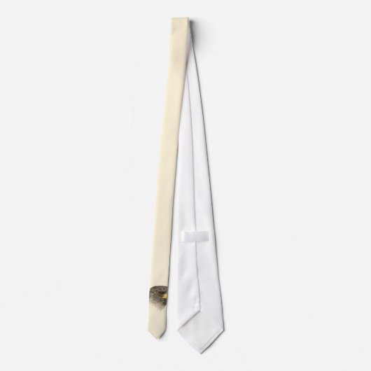 Harris Hawk – 混合中 ネクタイ (裏面)