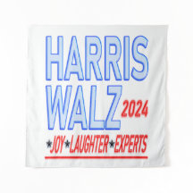 Harris Walz 2024選大統領の選媒体